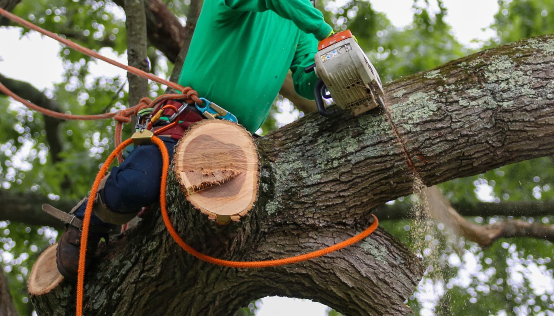 A woodworker providing tree removal to a home in Boca Raton, FL.